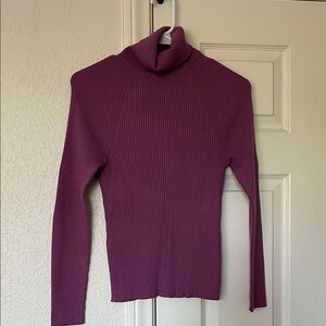 Banana Republic Turtleneck Sweater